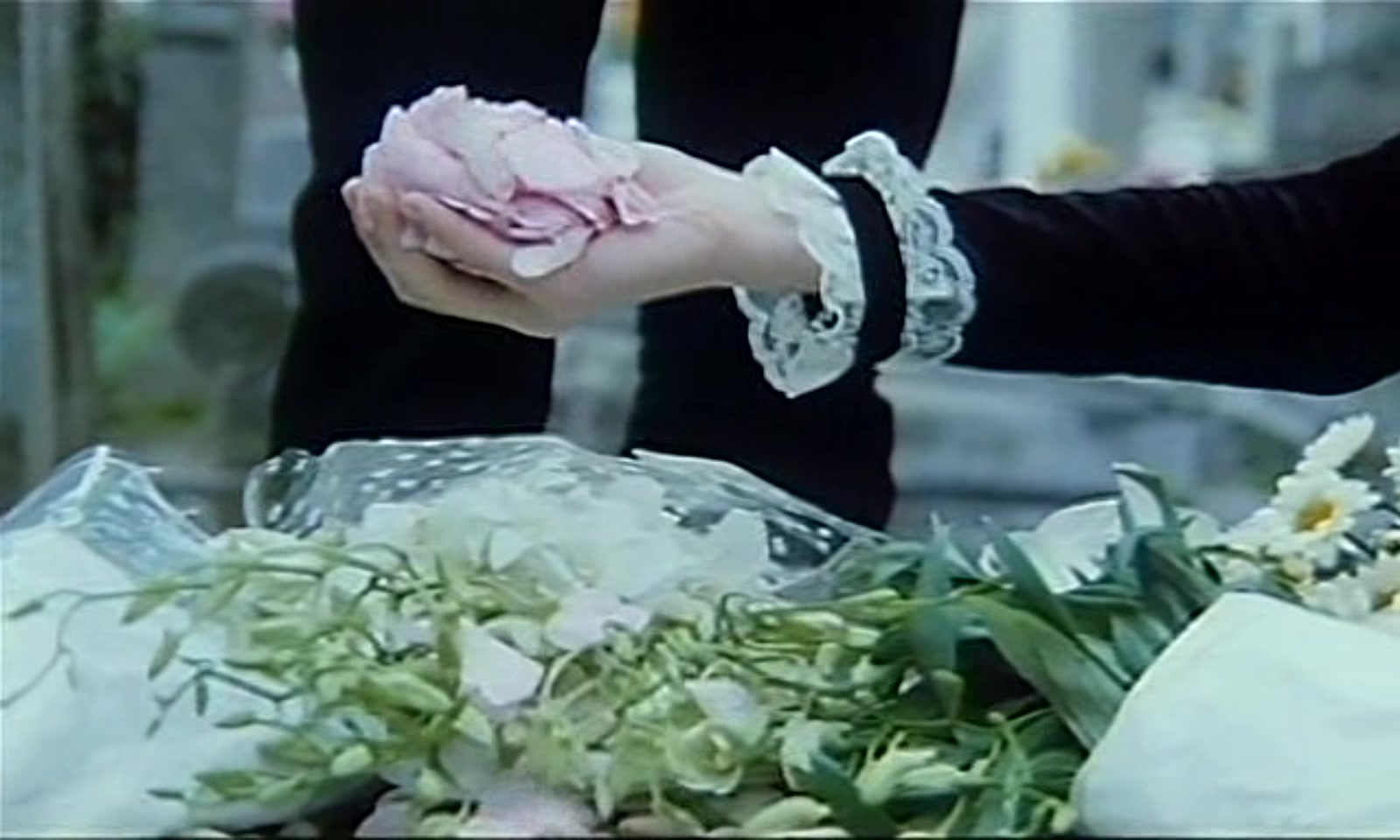 晚9朝5剧照的剧照