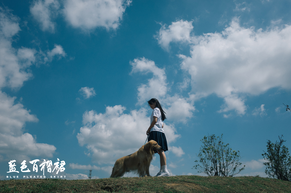 蓝色百褶裙剧照的剧照