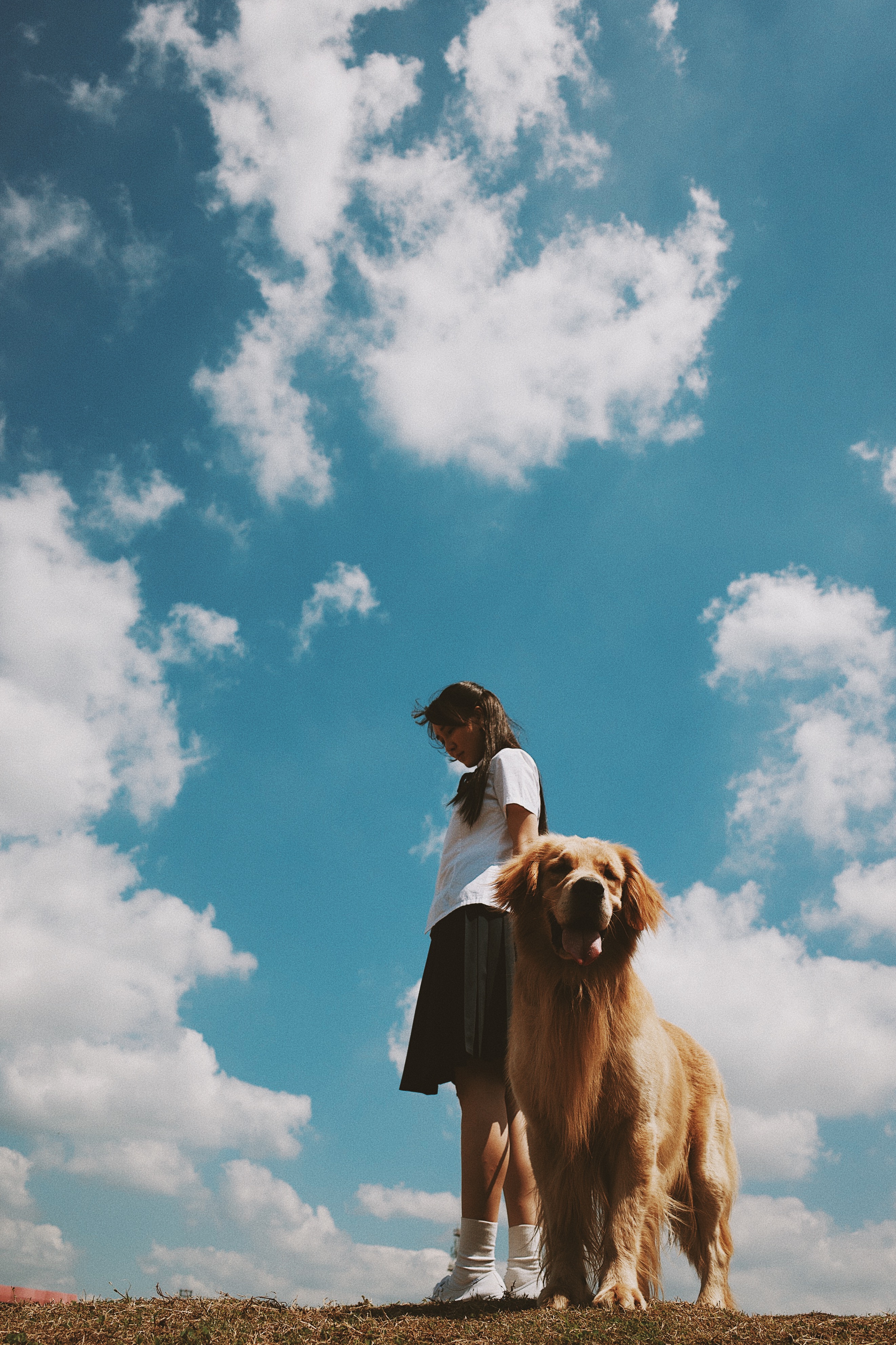 蓝色百褶裙剧照的剧照