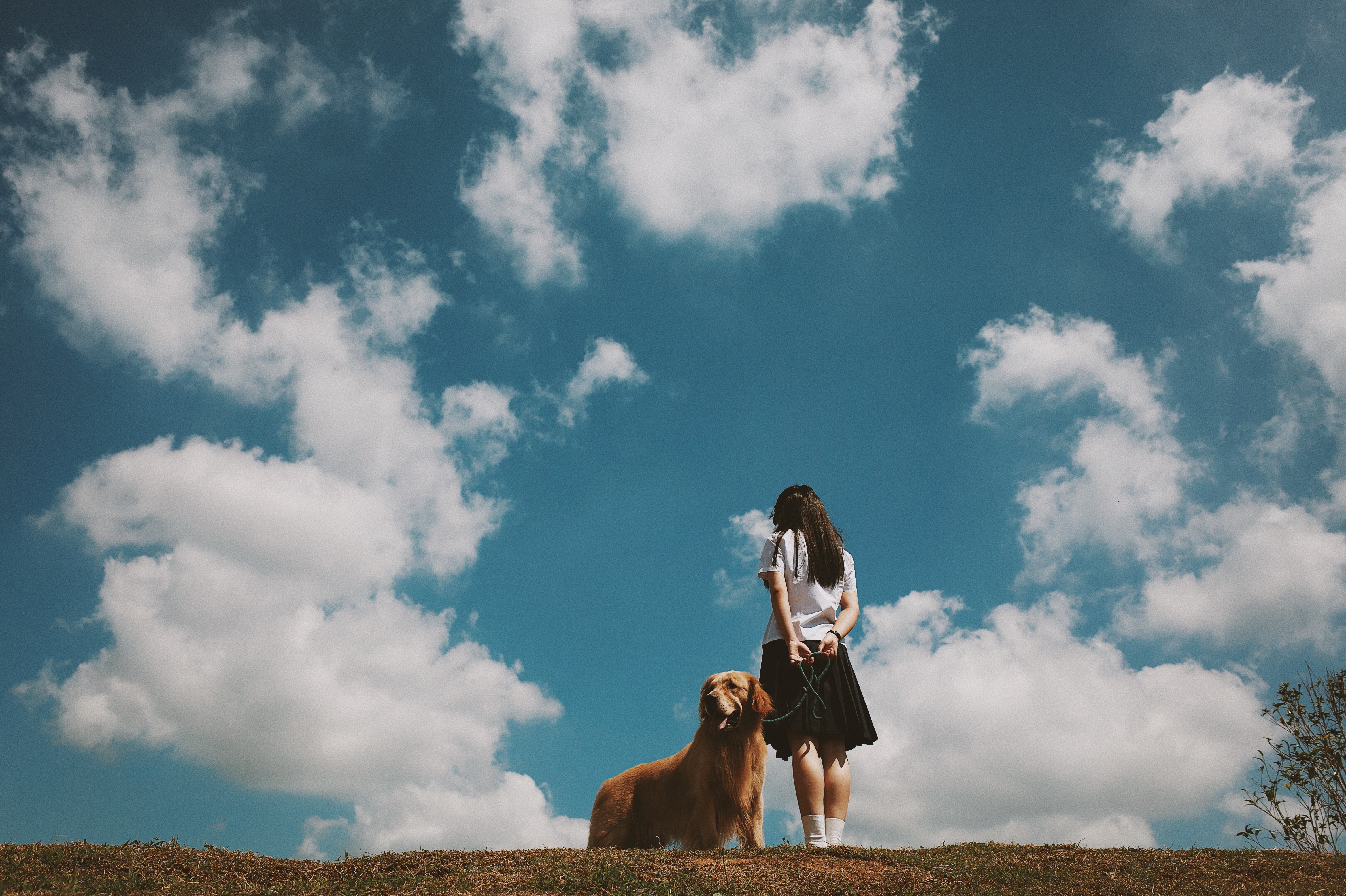 蓝色百褶裙剧照的剧照