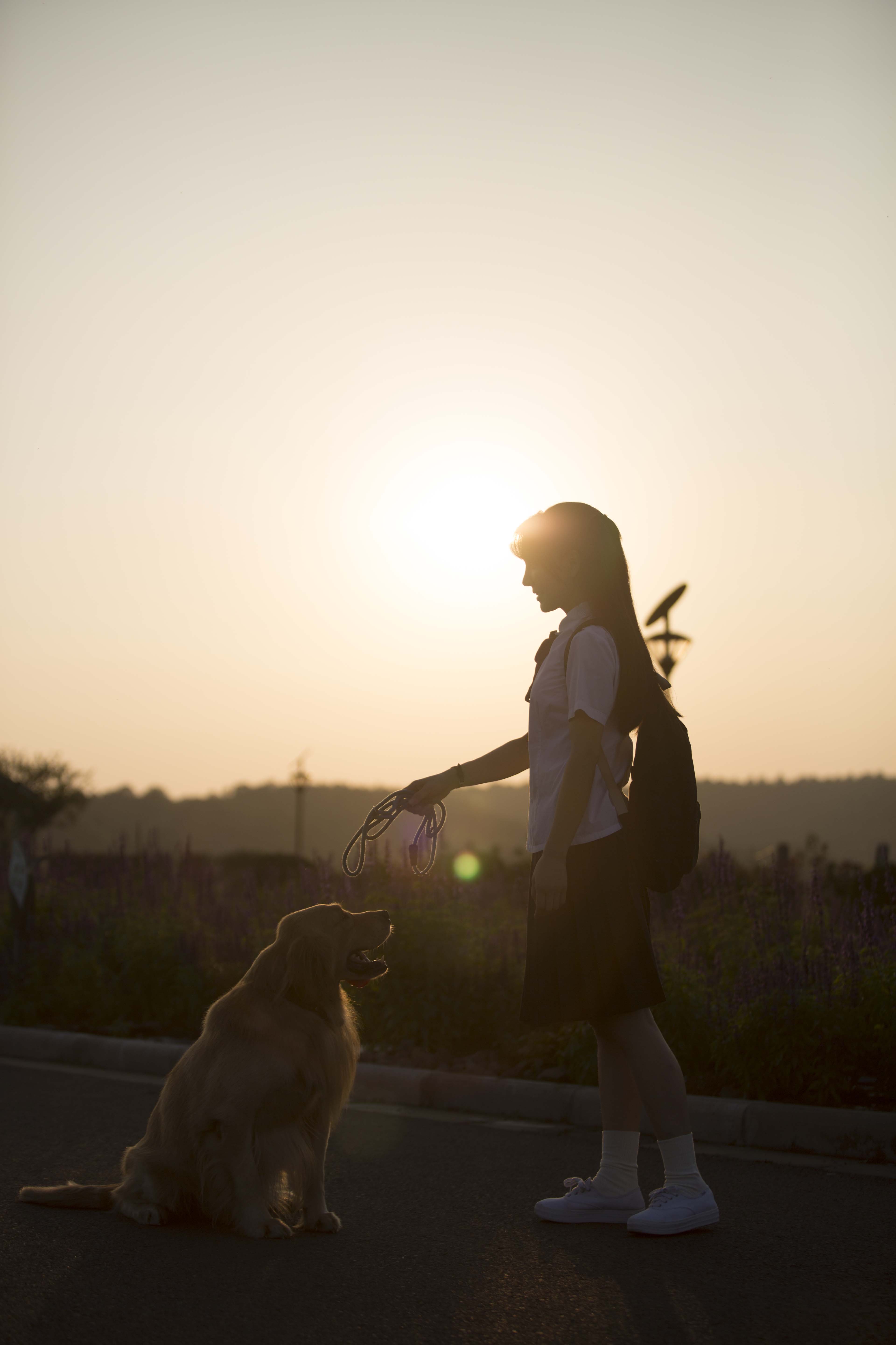 蓝色百褶裙剧照的剧照