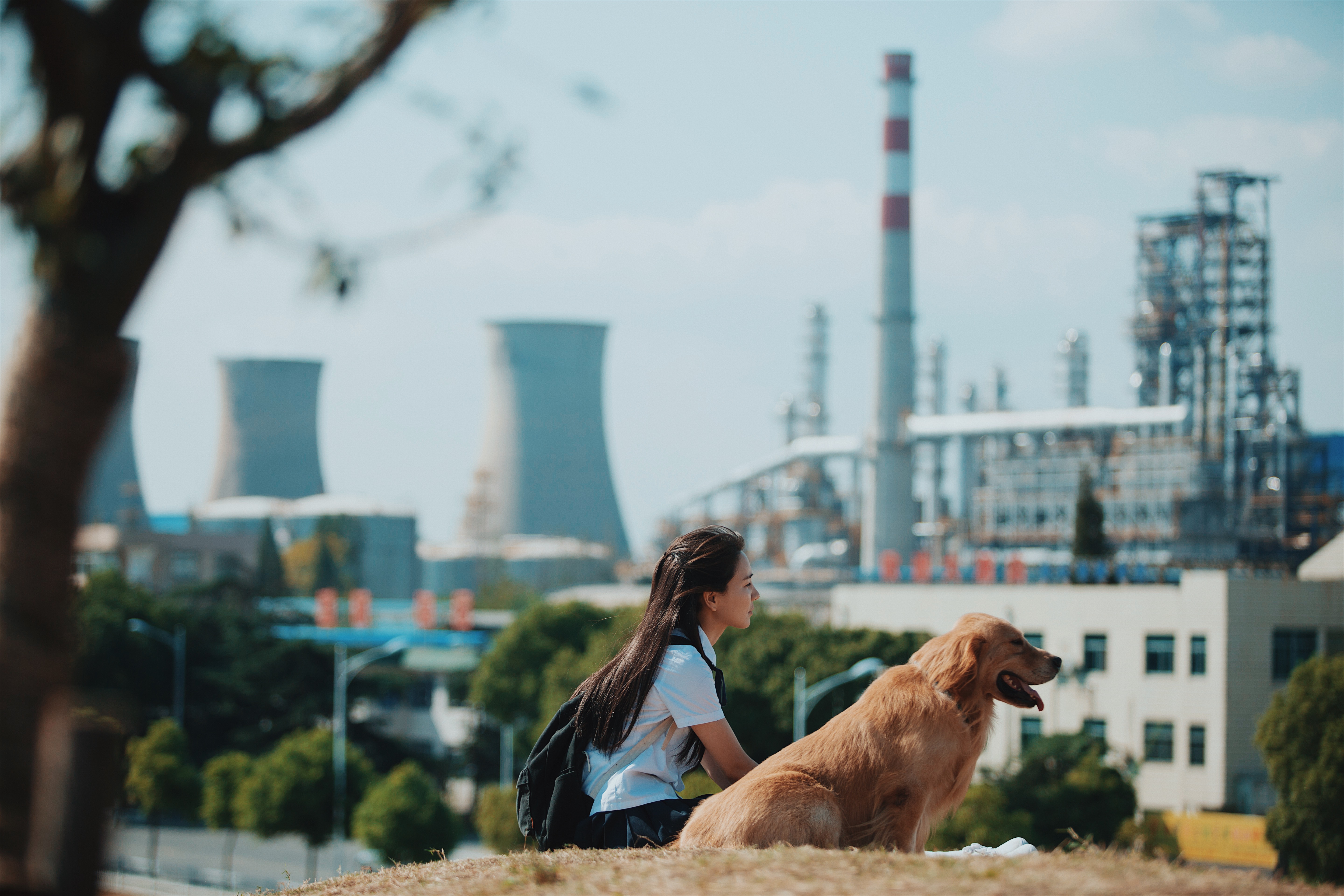 蓝色百褶裙剧照的剧照