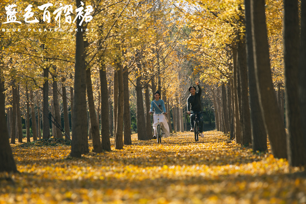 蓝色百褶裙剧照的剧照