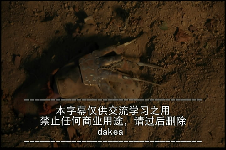 十三号星期五9剧照的剧照