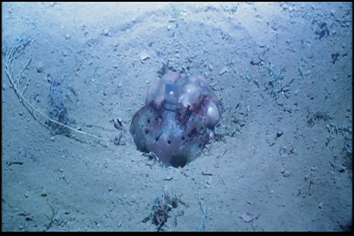 十三号星期五9剧照的剧照