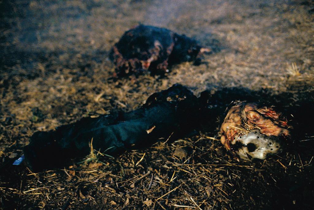 十三号星期五9剧照的剧照