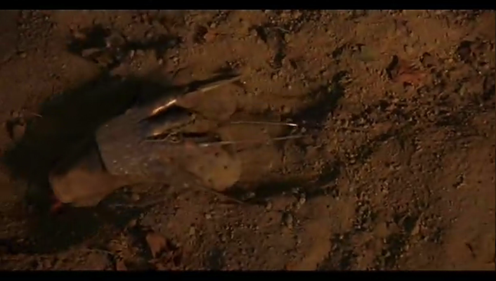 十三号星期五9剧照的剧照