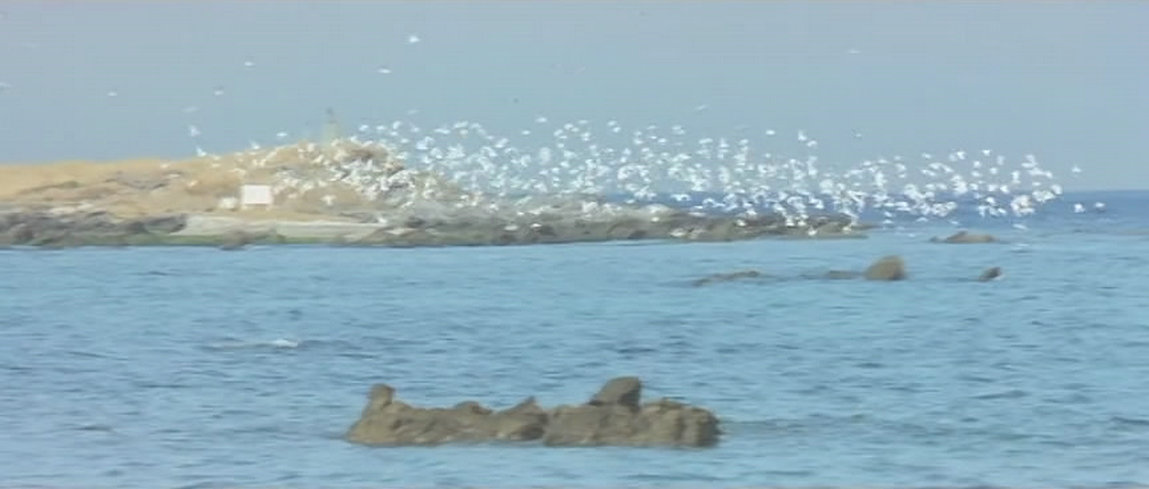 教师 女鹿剧照的剧照