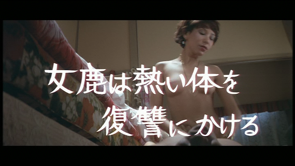 教师 女鹿剧照的剧照