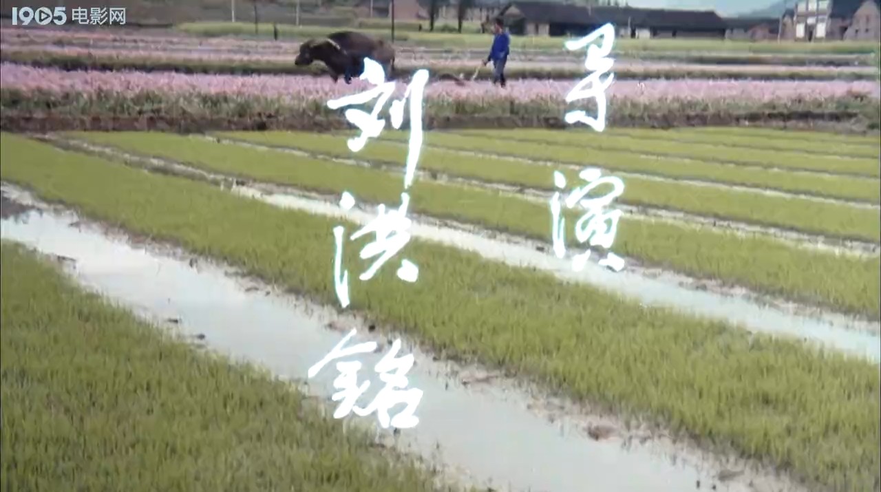 山下是故乡剧照的剧照