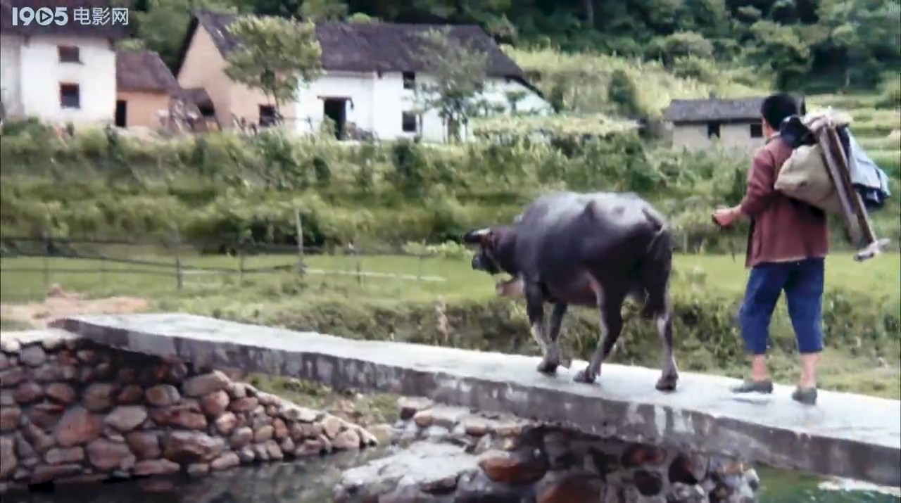 山下是故乡剧照的剧照