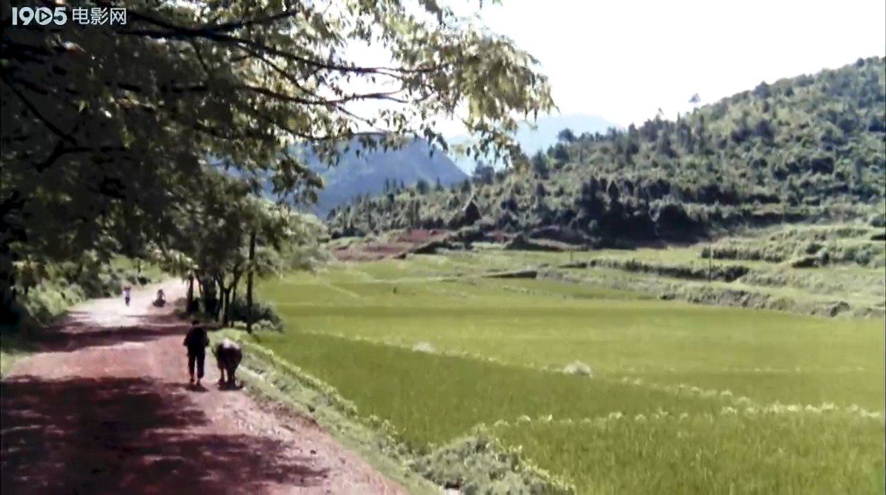 山下是故乡剧照的剧照