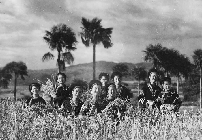 山间铃响马帮来剧照的剧照