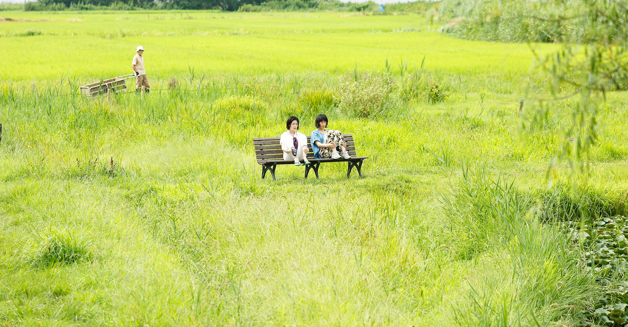 在蓝色时分飞翔剧照的剧照