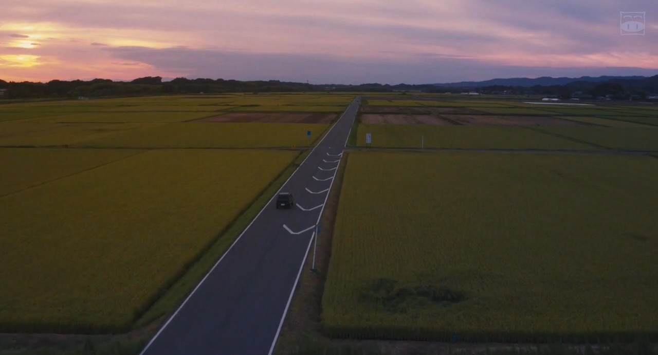 在蓝色时分飞翔剧照的剧照