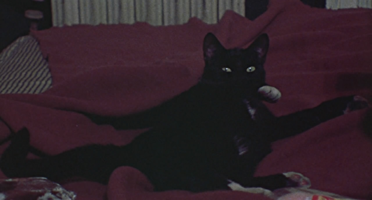 魔屋剧照的剧照