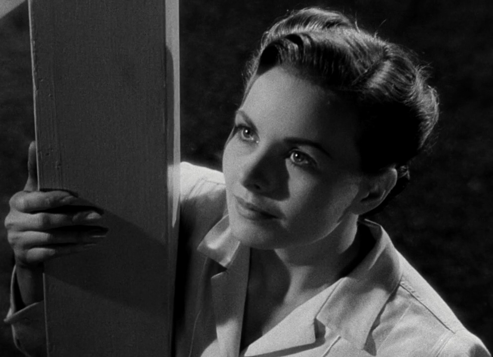 荡姬血泪剧照的剧照