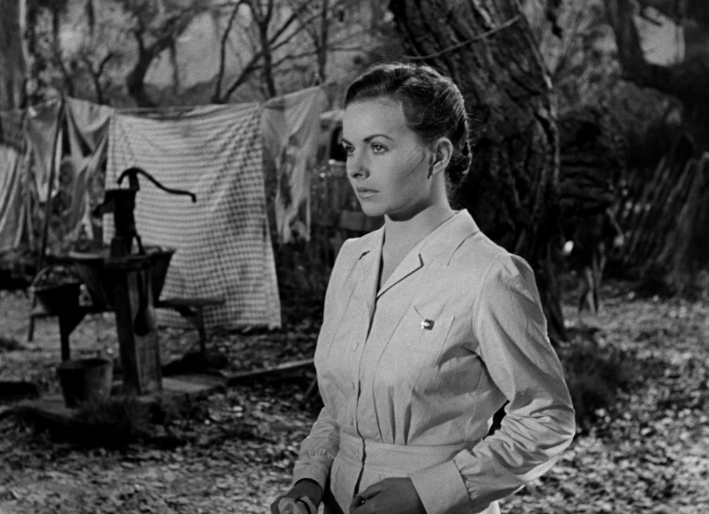 荡姬血泪剧照的剧照