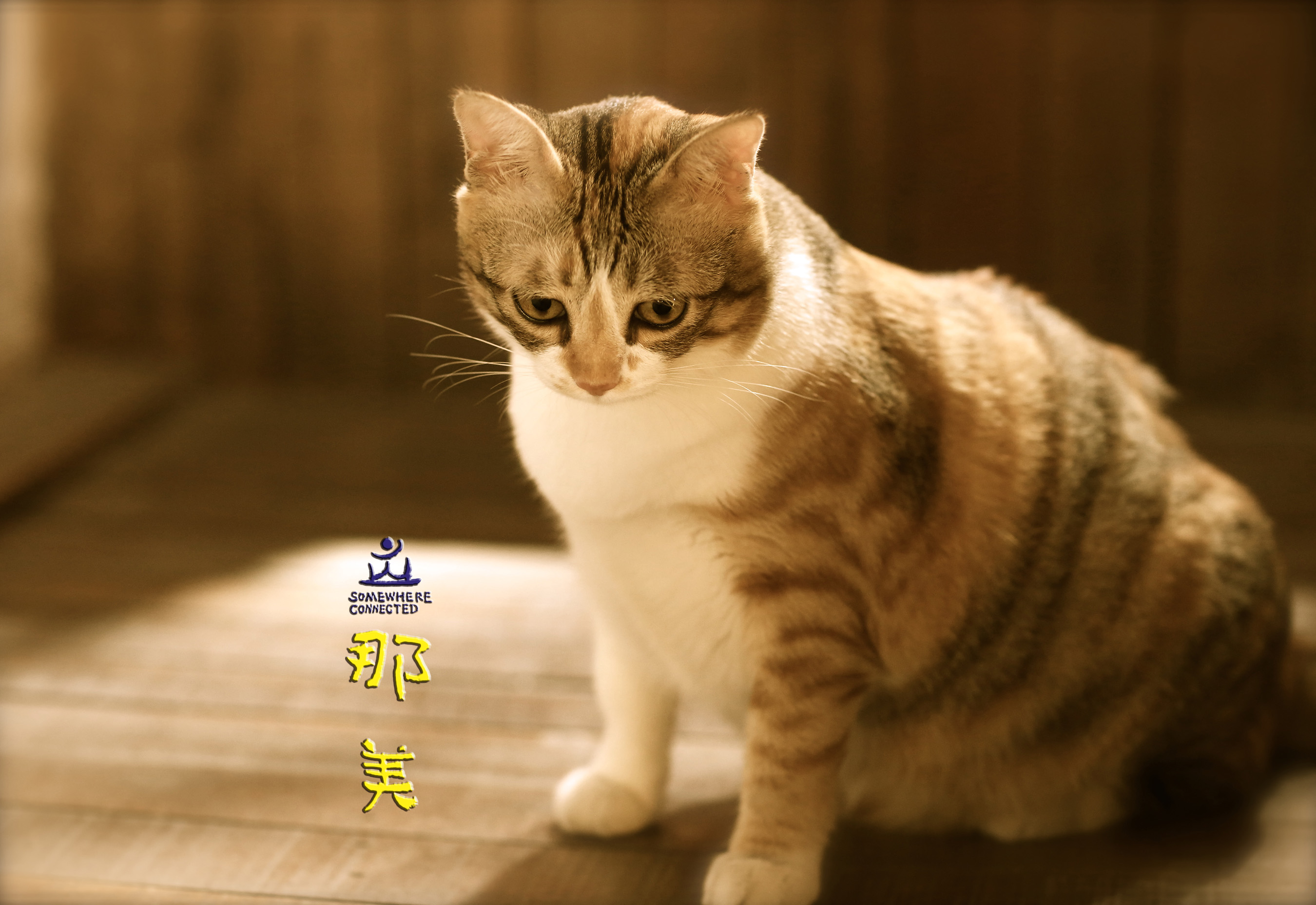 那美剧照的剧照