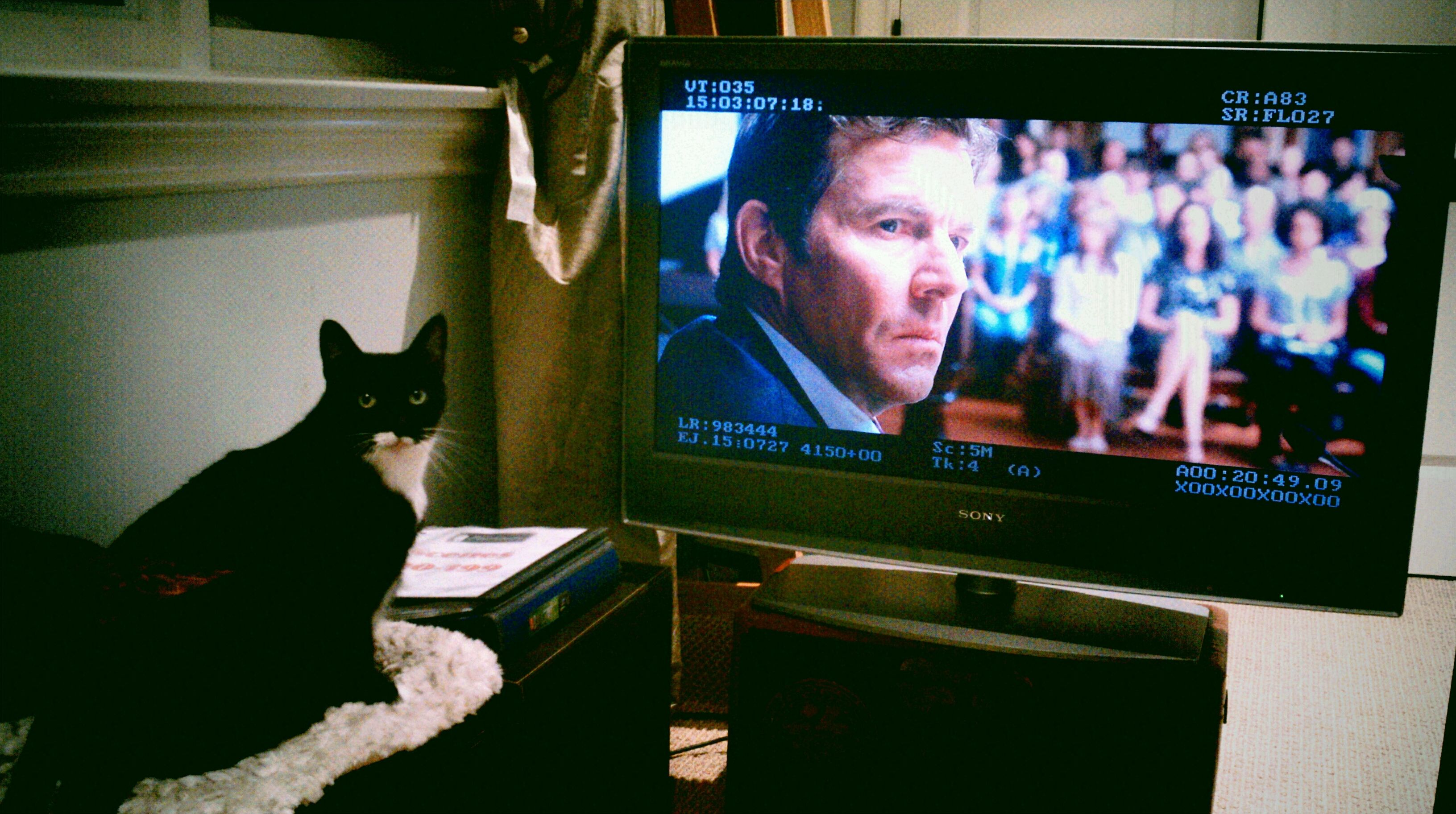 浑身是劲剧照的剧照