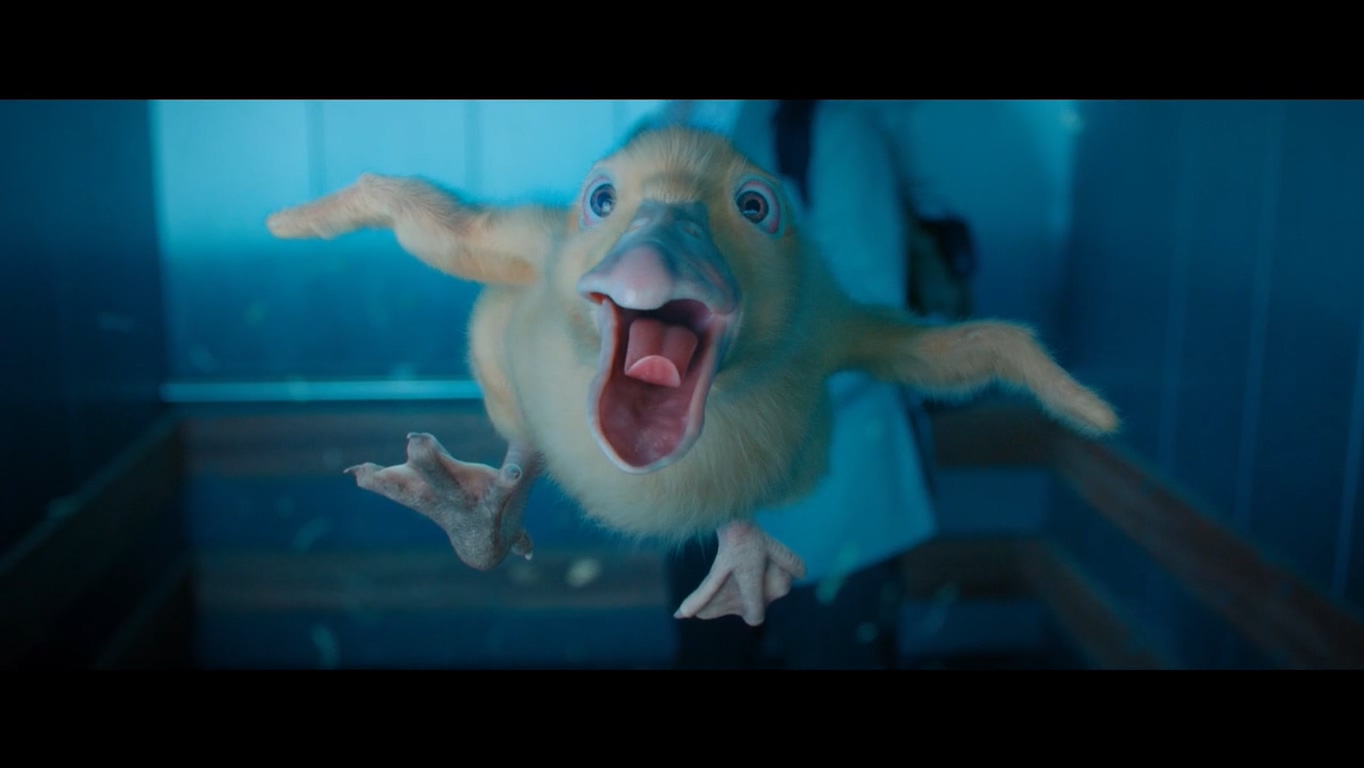 城市猎人剧照的剧照