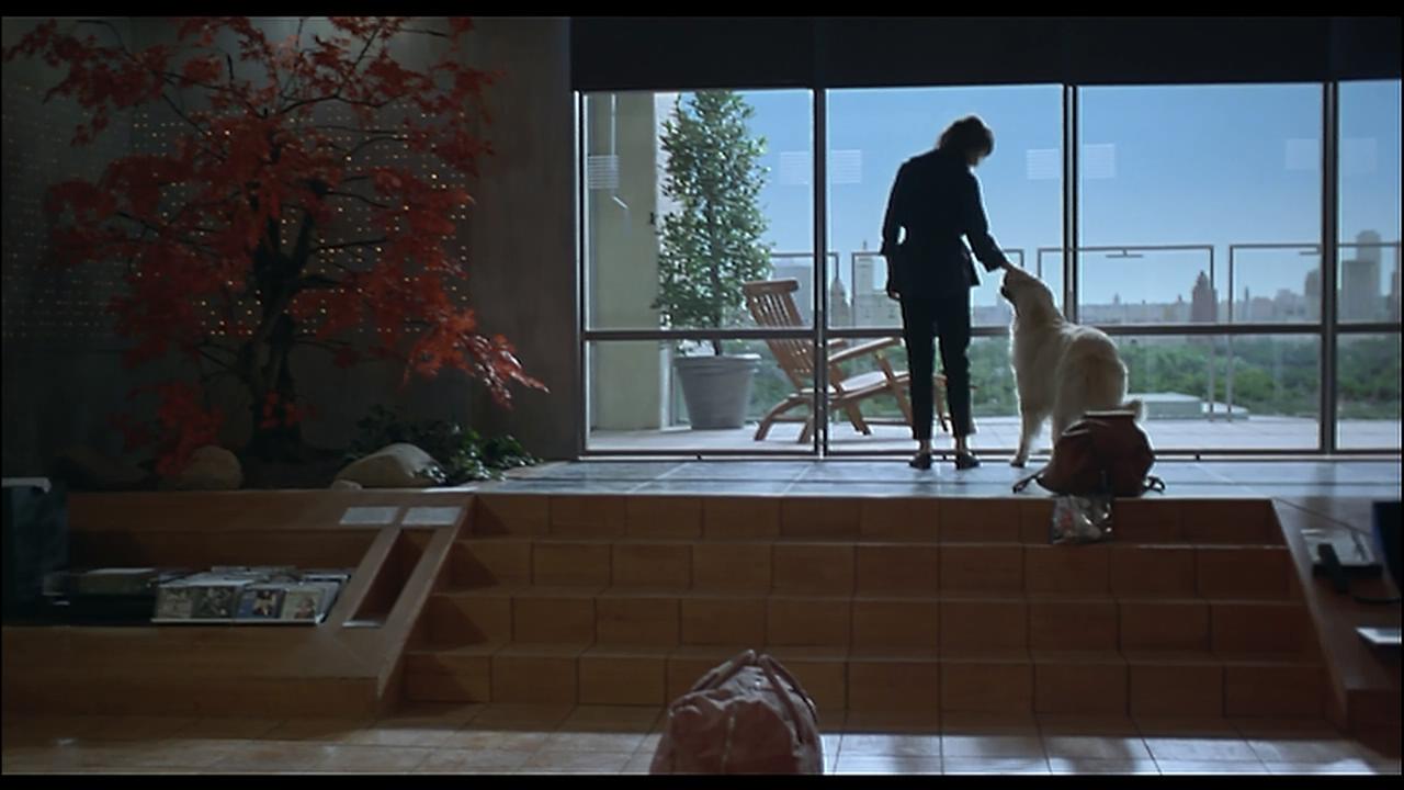 我不属于任何地方 - 香特尔·阿克曼的电影剧照的剧照