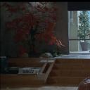 我不属于任何地方 - 香特尔·阿克曼的电影剧照