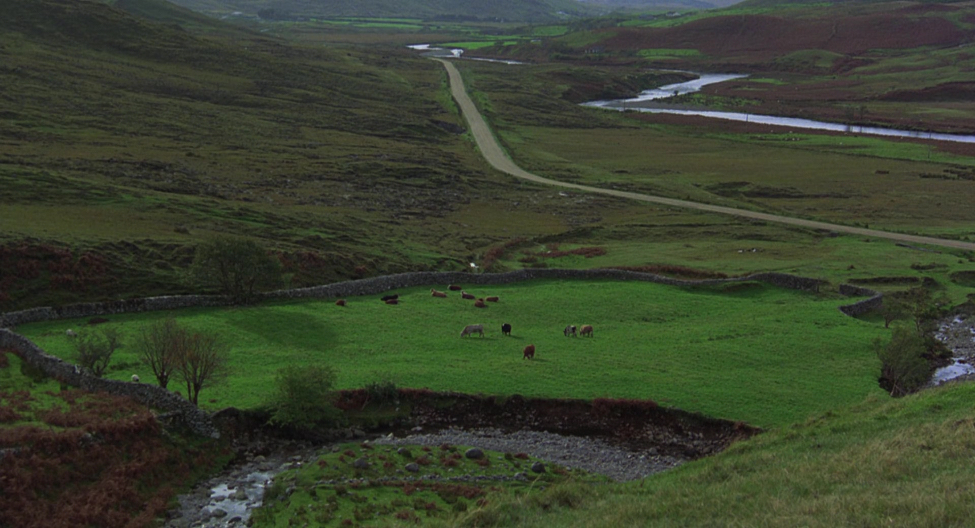 田野剧照的剧照