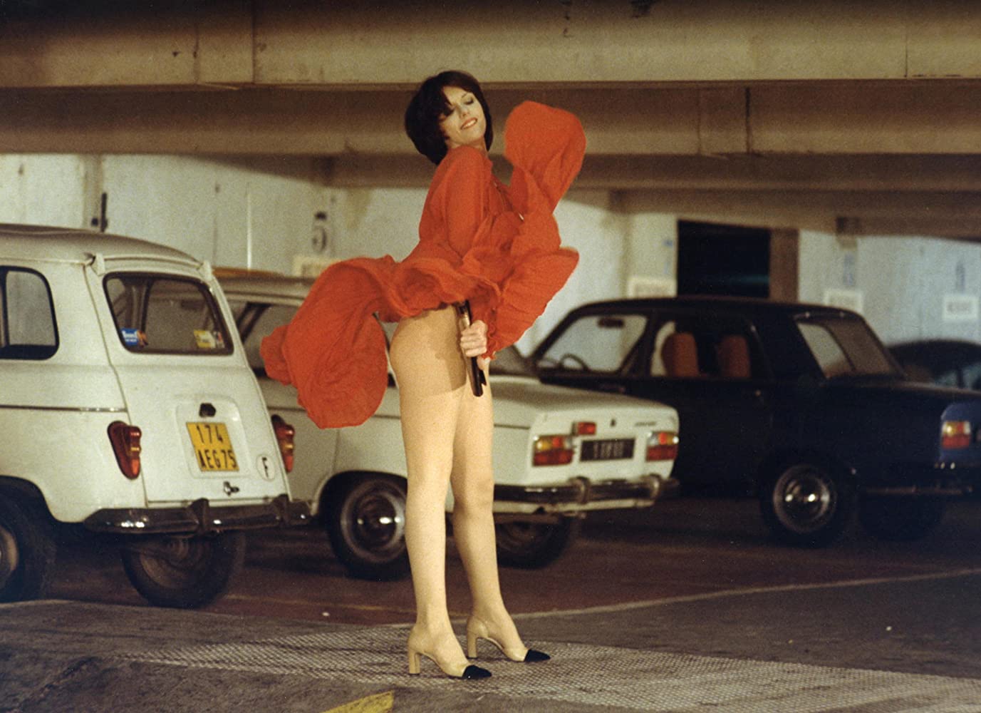 大象骗人剧照的剧照