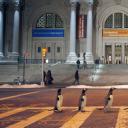 波普先生的企鹅剧照