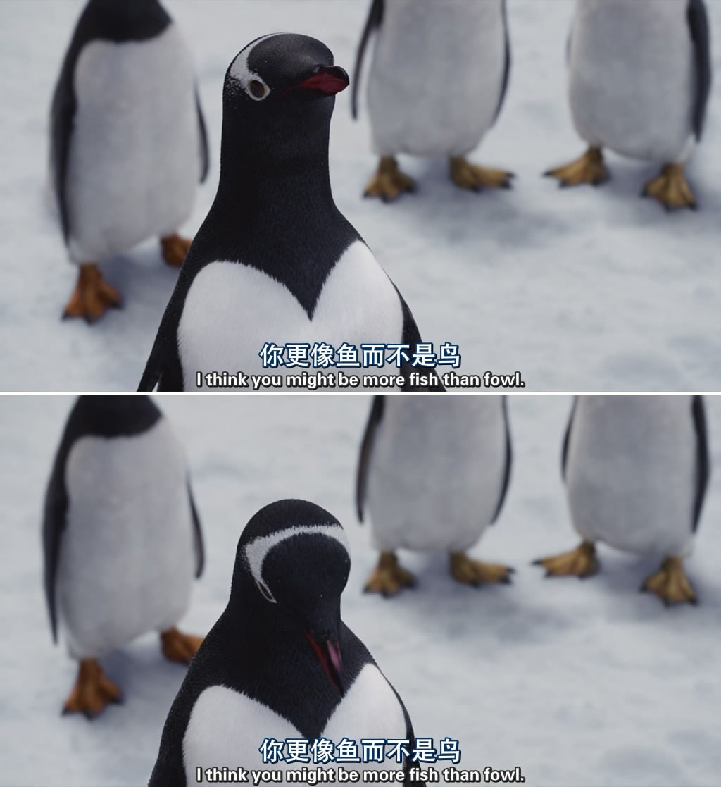 波普先生的企鹅剧照的剧照