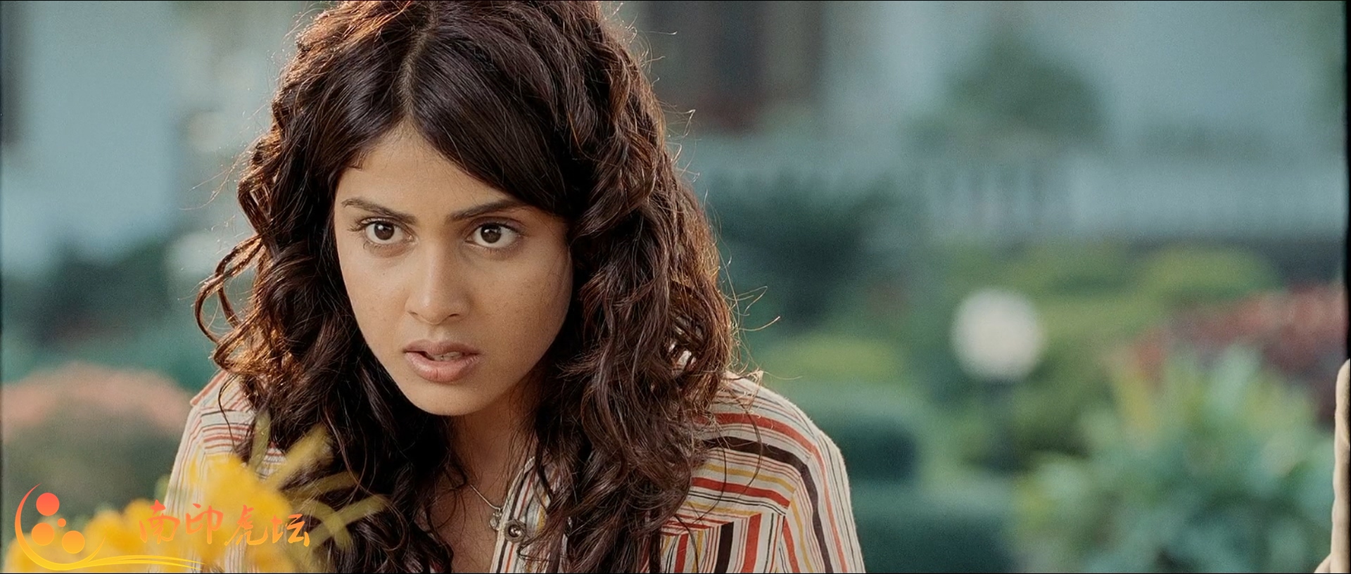 老鼠与猫剧照的剧照