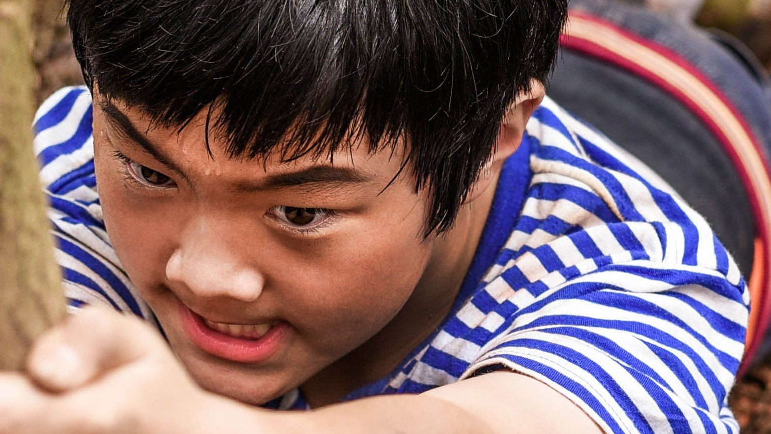 高兴逮笨贼剧照的剧照