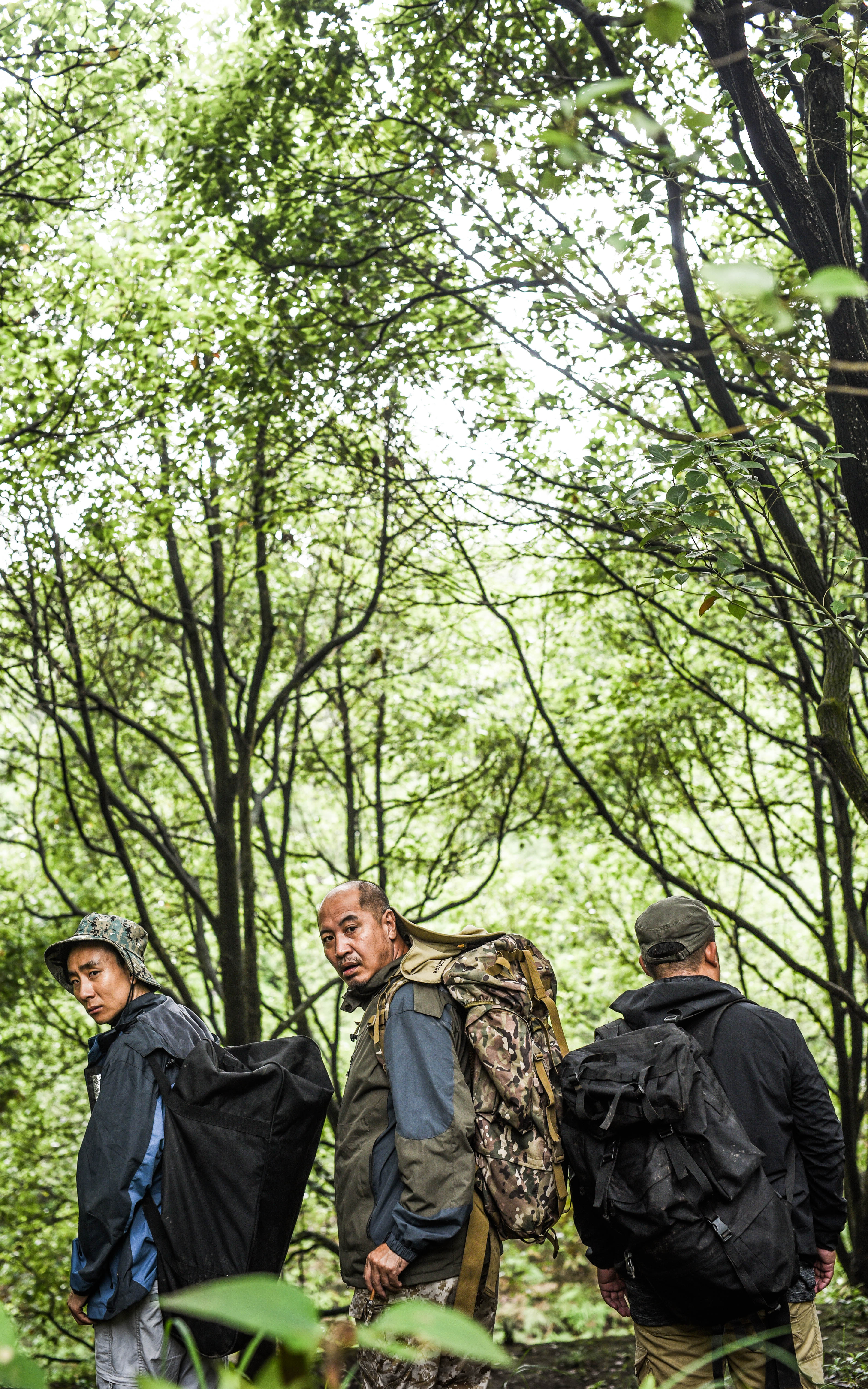 高兴逮笨贼剧照的剧照