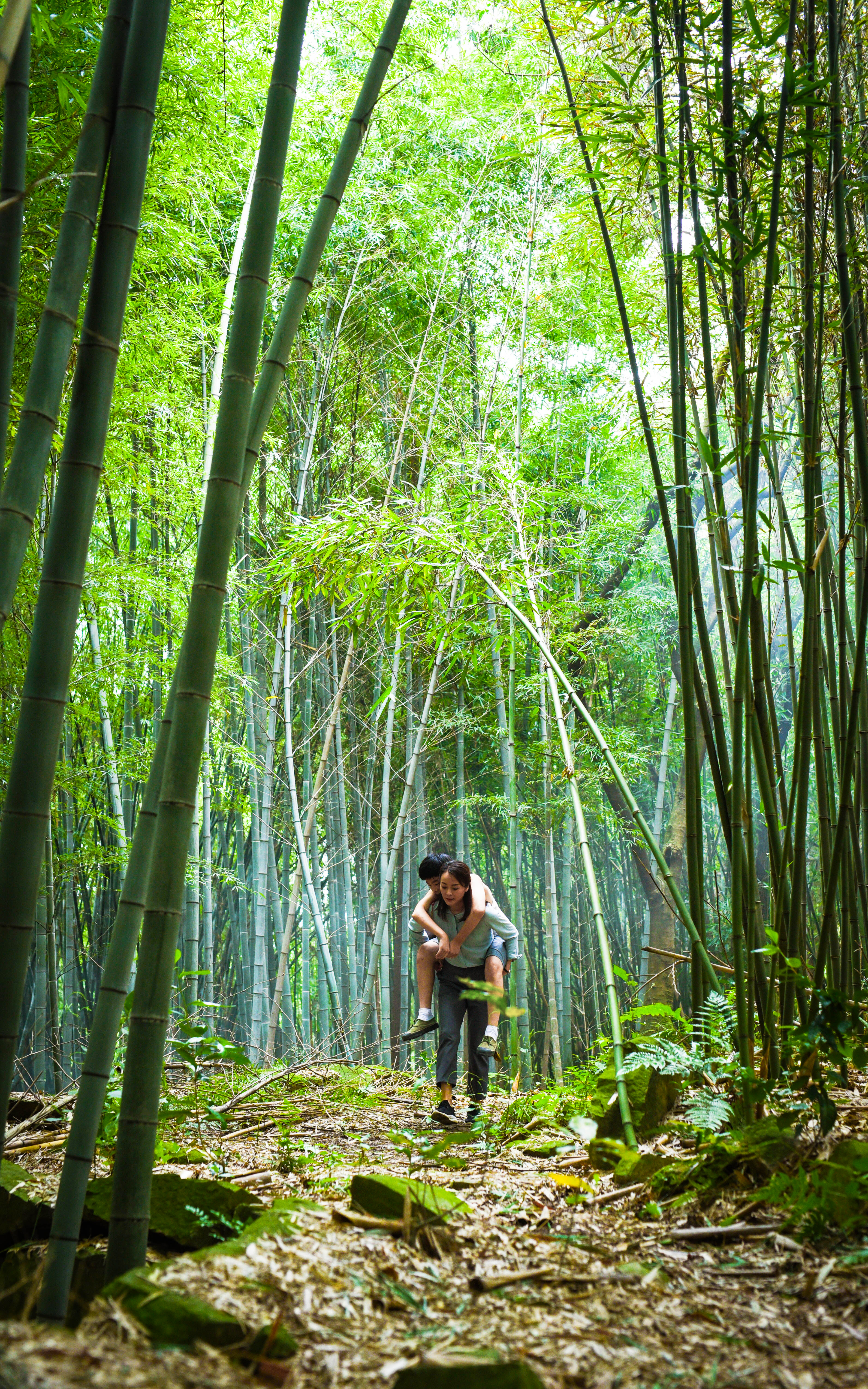 高兴逮笨贼剧照的剧照
