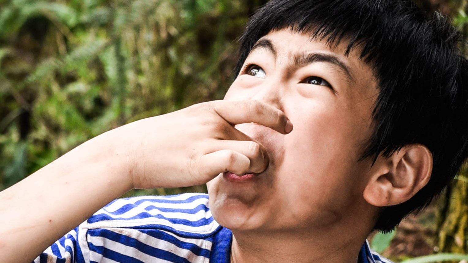 高兴逮笨贼剧照的剧照