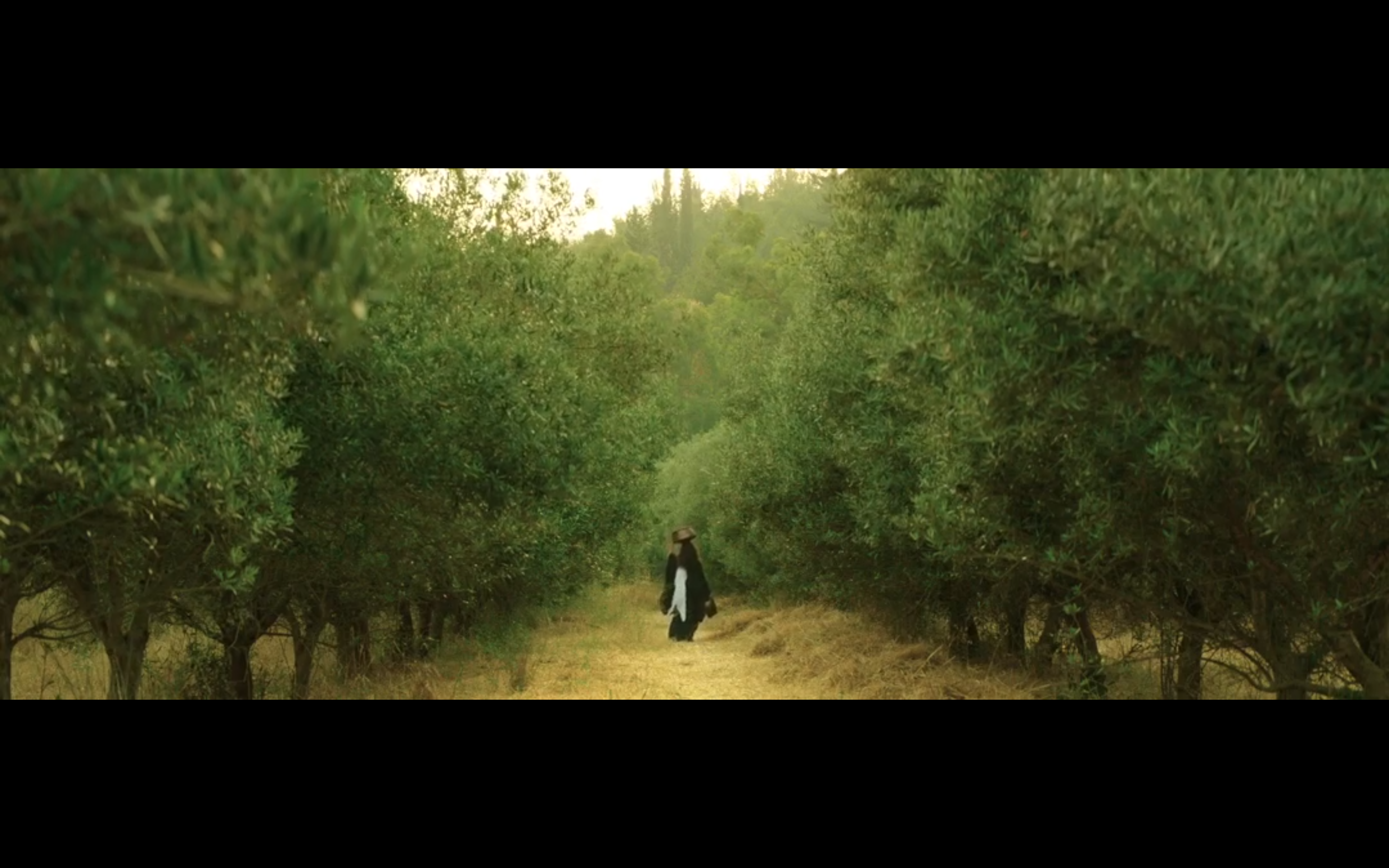 必是天堂剧照的剧照