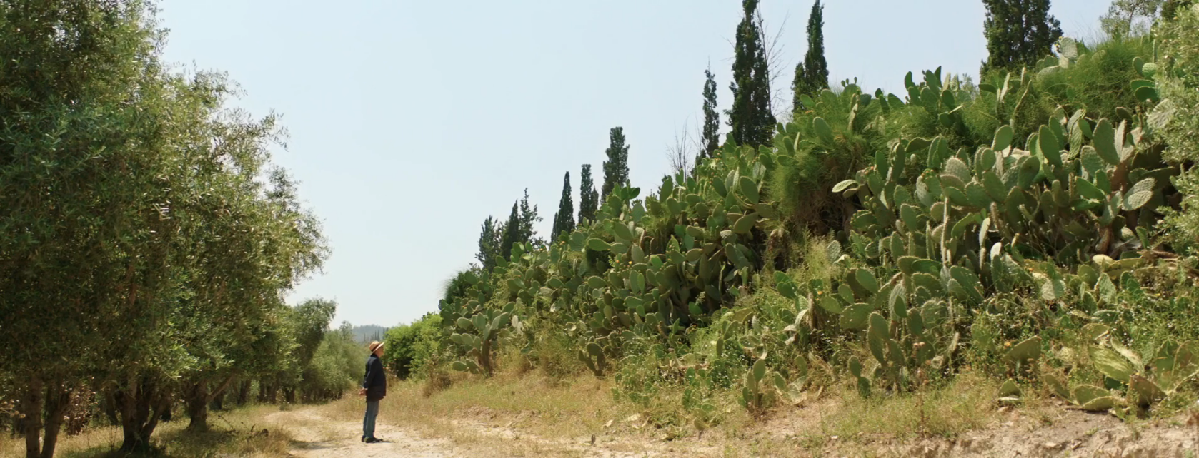 必是天堂剧照的剧照