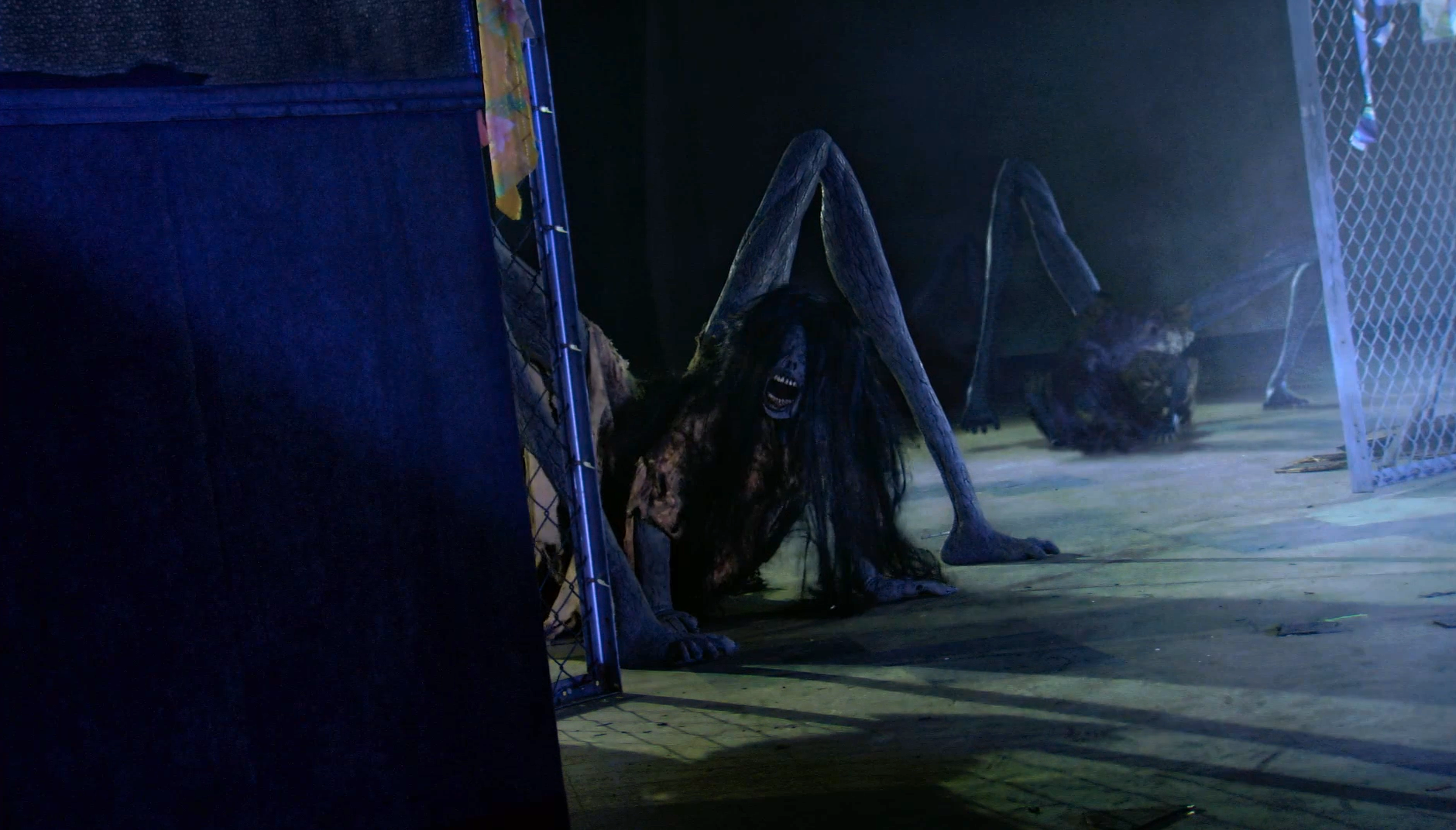 贞子3D剧照的剧照