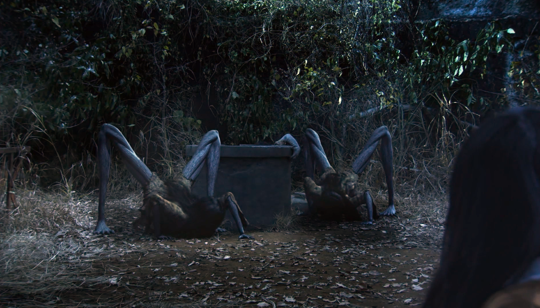 贞子3D剧照的剧照