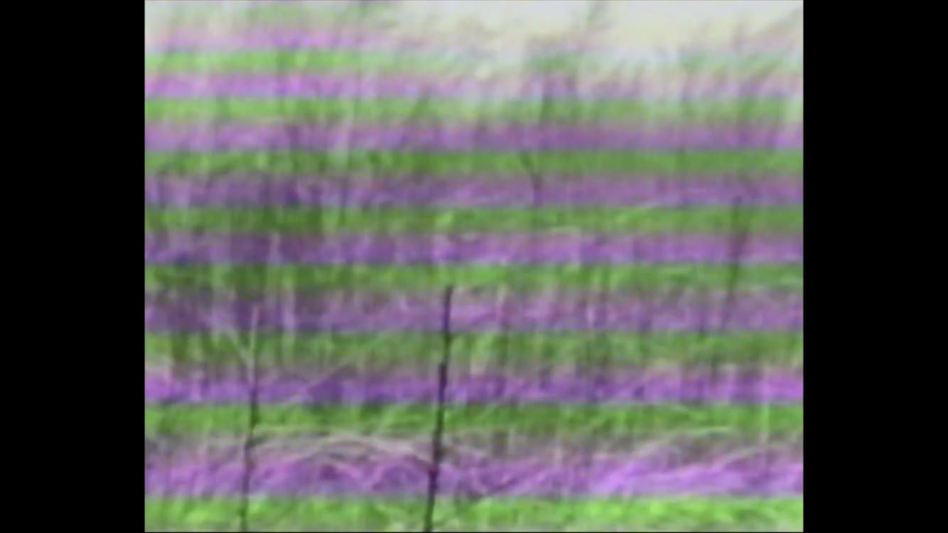 永恒和一日剧照的剧照