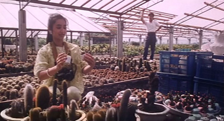 东京俏姑娘剧照的剧照