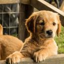 我在雨中等你剧照