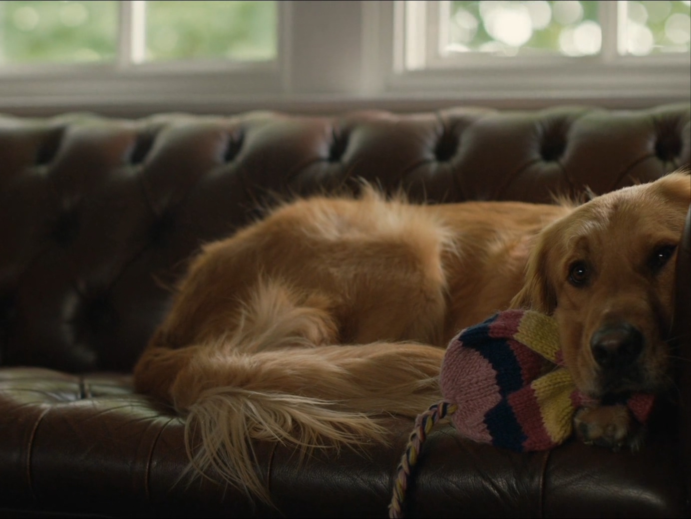 我在雨中等你剧照的剧照