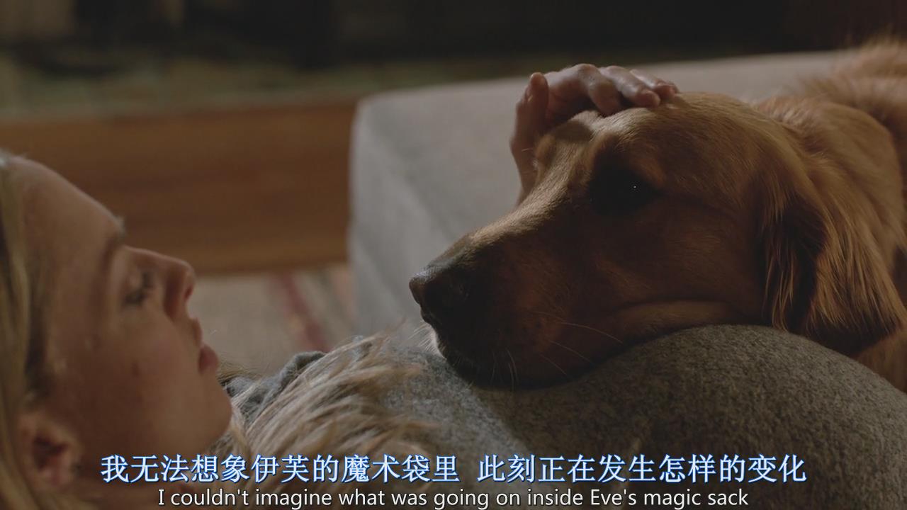 我在雨中等你剧照的剧照