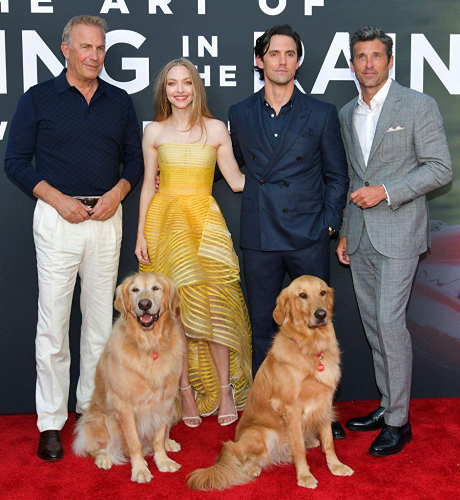 我在雨中等你剧照的剧照