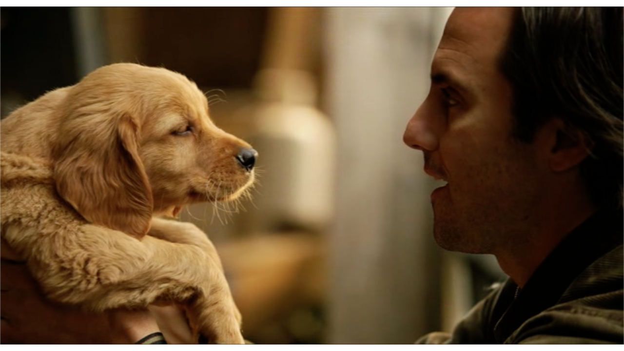 我在雨中等你剧照的剧照