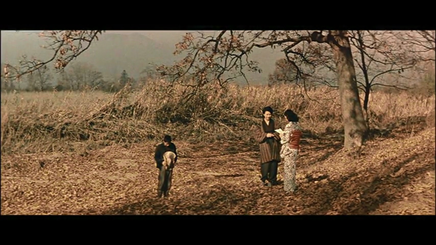 风花剧照的剧照