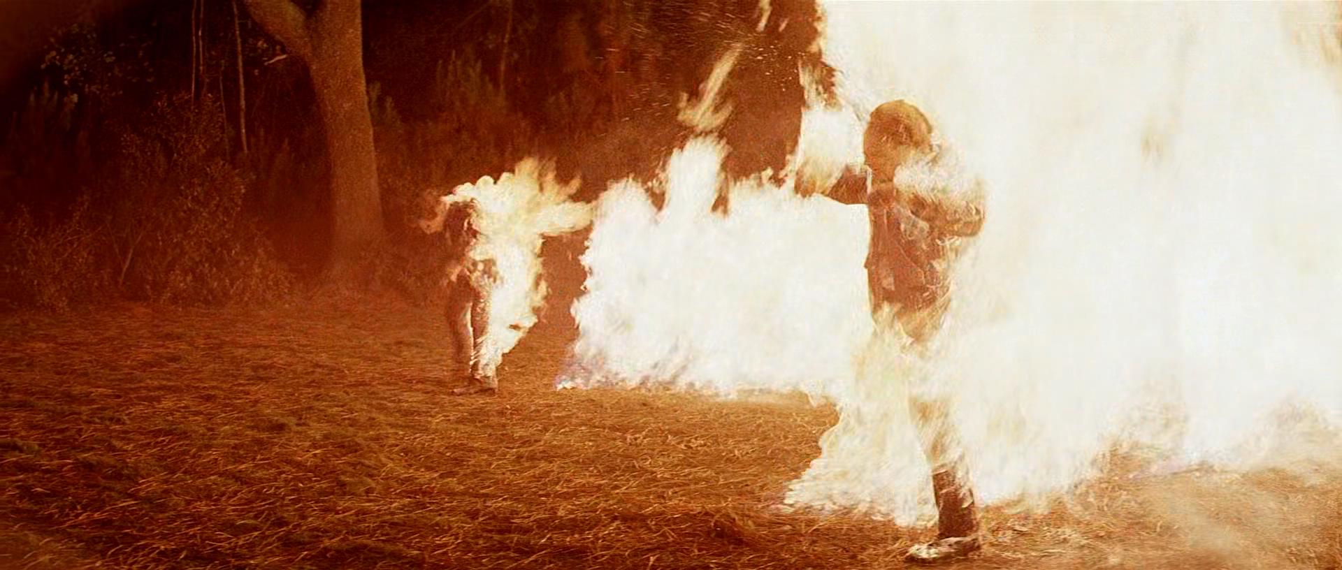 凶火剧照的剧照