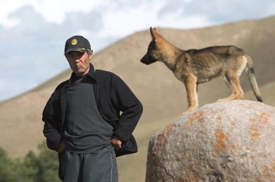 狼灾记剧照的剧照